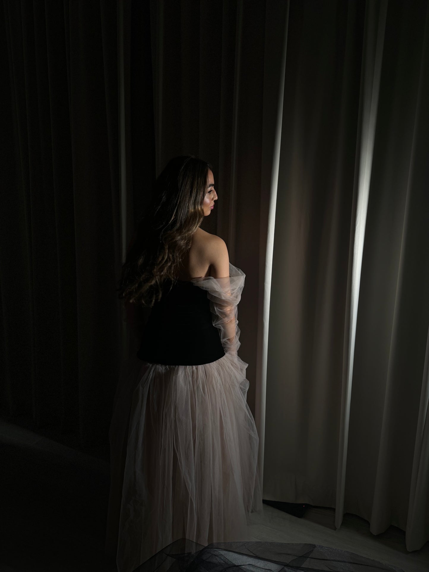 Chapter 1: 19’s Century  - Tulle Enchantment