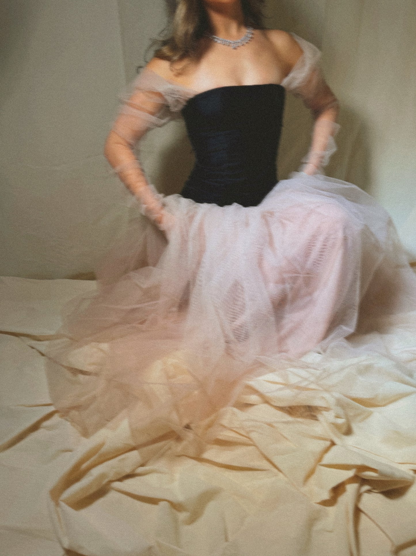 Chapter 1: 19’s Century  - Tulle Enchantment