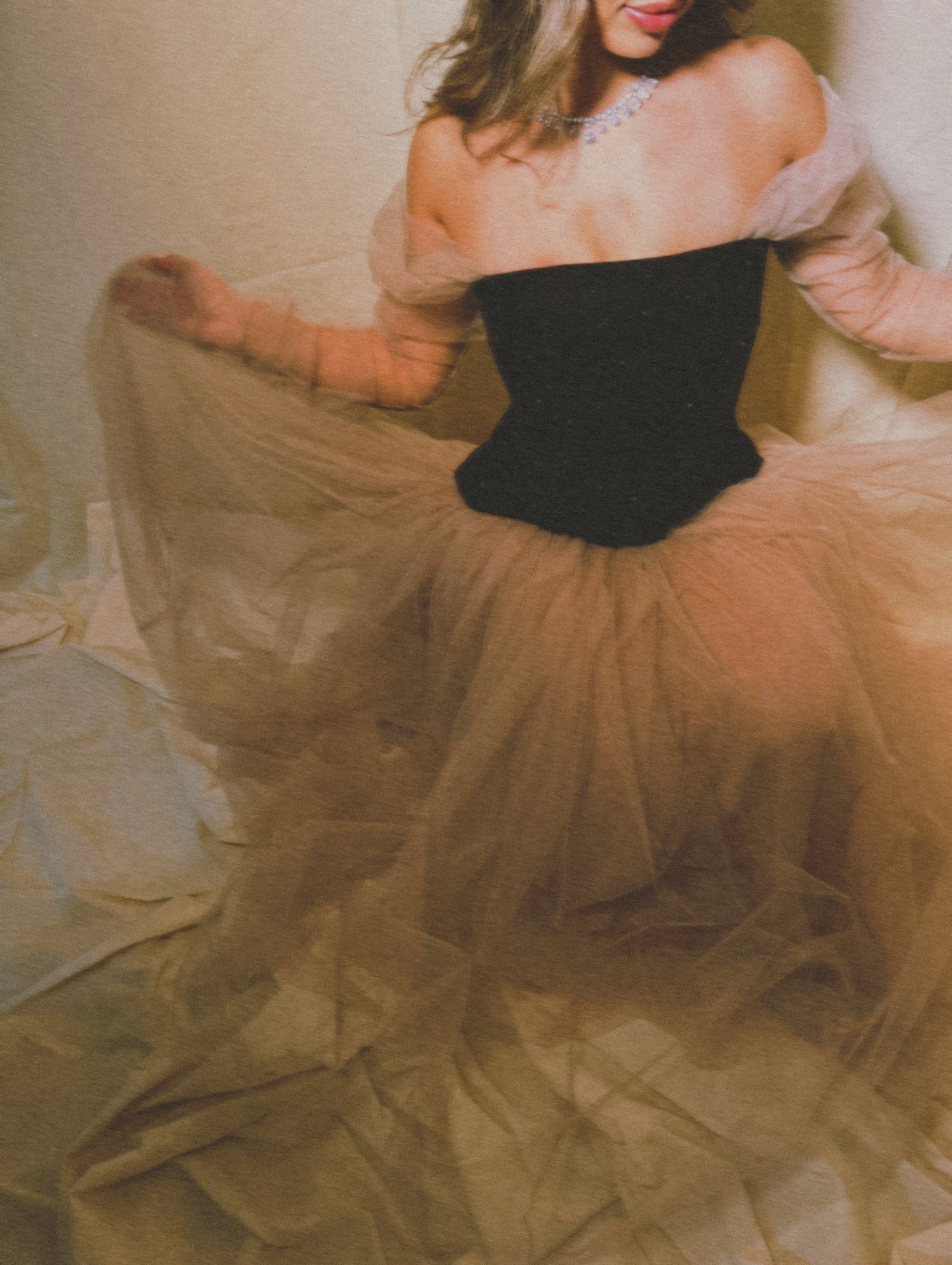 Chapter 1: 19’s Century  - Tulle Enchantment