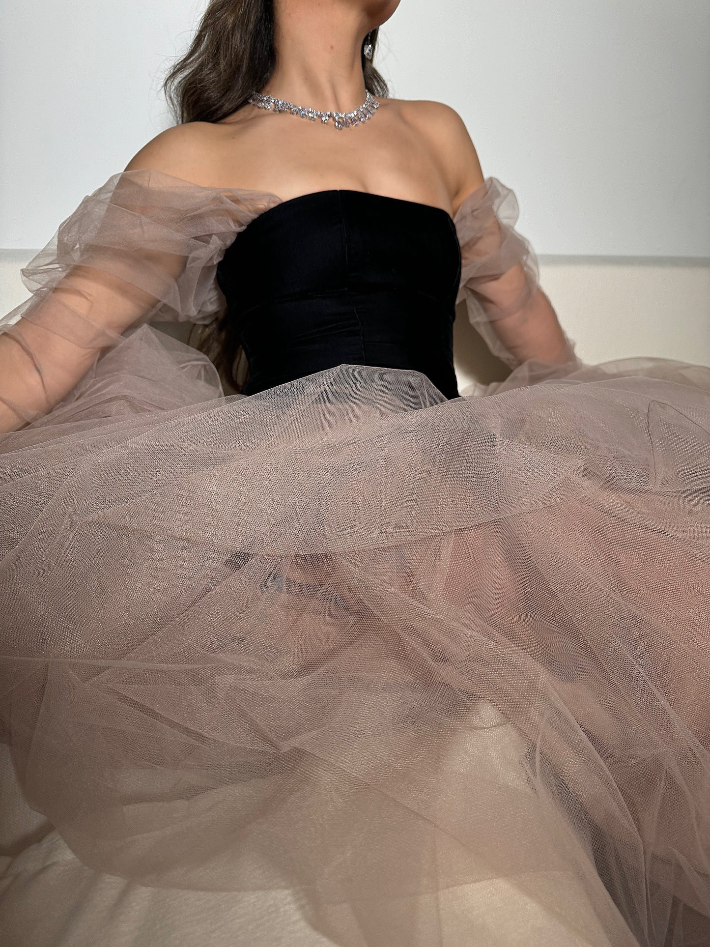 Chapter 1: 19’s Century  - Tulle Enchantment